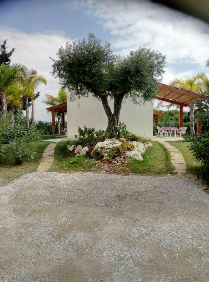 Trenasse Guest House Marsala Exterior photo